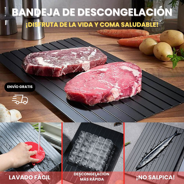 BANDEJA DE DESCONGELACIÓN RÁPIDA + ENVÍO GRATIS