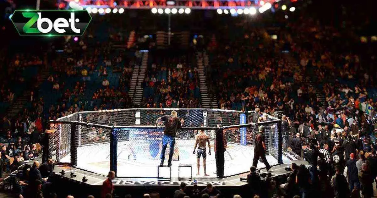 Hướng Dẫn Tân Thủ Các Cách Cá Cược MMA Dễ Thắng Lớn 1 Hướng Dẫn Tân Thủ Các Cách Cá Cược MMA Dễ Thắng Lớn